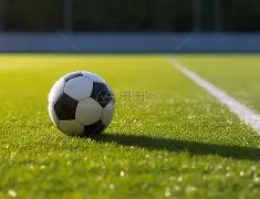 墨尔本城对,决麦克阿瑟,巅峰对决,bet365,bet365体育,bet365下载,bet365官网入口